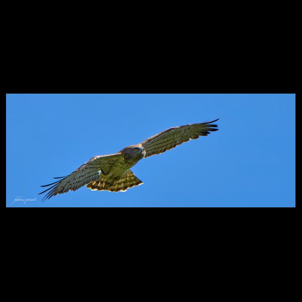 PHOTO84, CLUB, 84 , LUBERON